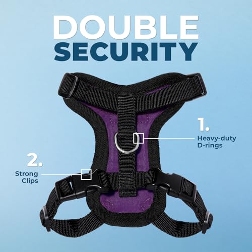 Image of Voyager Escape-Proof Step-in Lock Cat Harness & 5ft Neoprene-Handle Leash Set All-Weather Mesh with Reflective Stitching for Small to Large Cats by Best Pet Supplies, Purple /Black Trim, XXS