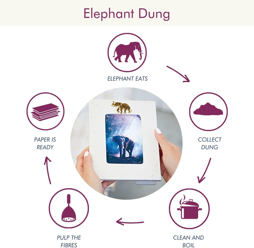 Paper High Elephant Dung Photo Frame Large 6 x 4 in