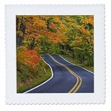 Square dimensions (in inches): 25 L x 25 W, image dimensions (in inches): 23 L x 23 W 100% poloyester; image is soft to touch. Made in USA Edges have pinking shear cut Image will not fade with washing. Image not a transfer, part of material