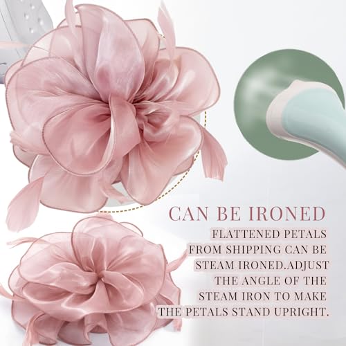 Image of DRESHOW Fascinators Hat Feather Headband Women's Fascinators Tea Party Headwear with Clip Flower Head Band for Girls & Women