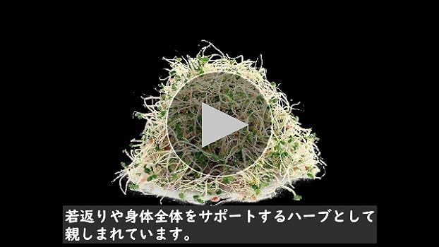 Amazon.co.jp: アルファルファ 種 250g スプラウト 業務用
