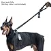 OneTigris Nylon Tactical Dog Training Bungee Leash Leads Rope (Black)