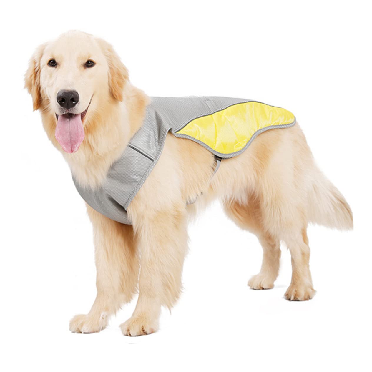 Housoutil 3pièces Gilet Refroidissant pour Animaux De Compagnie Veste Évaporation Été s Couleur Assortie Confort Respirant Et Réfléchissant pour Chiens