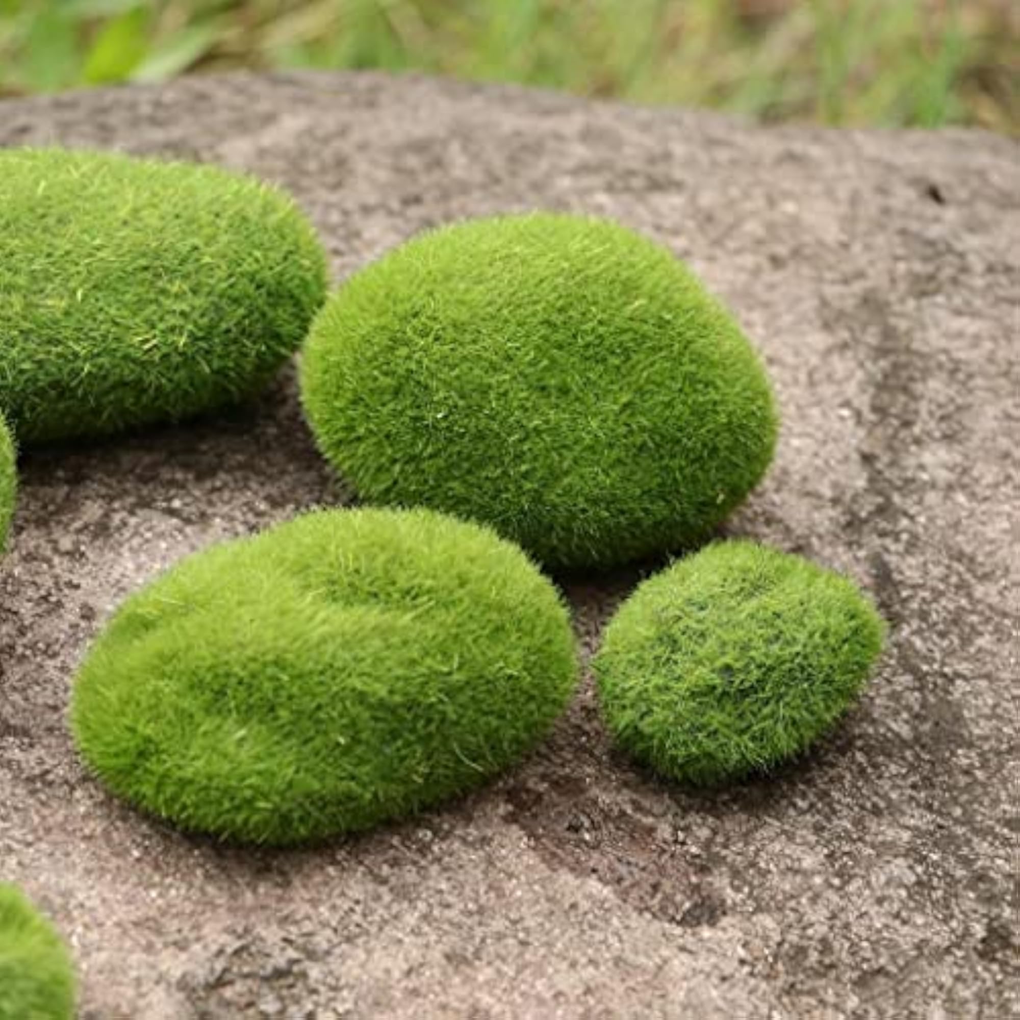 10Pcs Simulation Moss Balls for Garden Decoration