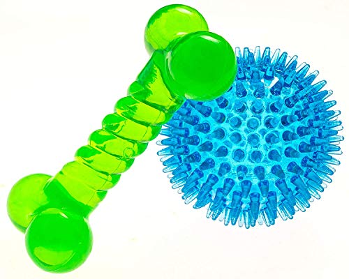 Spiky Ball & Bone Dog Teething Toys