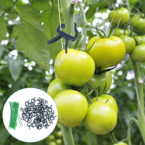 UPKOCH 90pcs Greenhouse Plant Clip Cable Ties Vegetable Plant Vine Support Clamps Flower Growing Climbing Ties Garden Vine Fixed Clamps