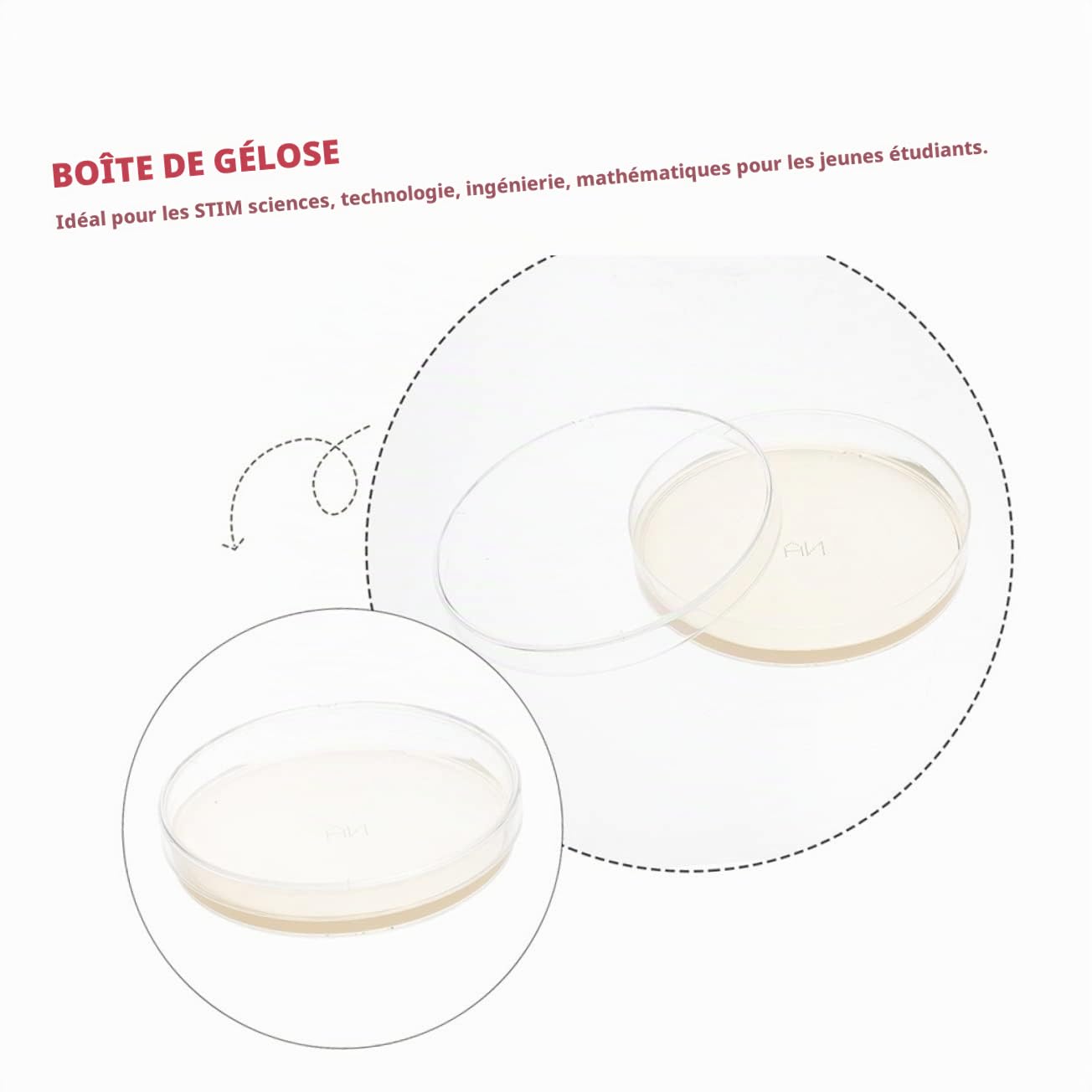 20 Pièces Boîtes De Pétri Pré-Coulées Avec Agar Pour Expérimentation Scientifique Stem 2.76X2.76X0.79In Plaques De Gélose Nutritive Pour École Et Laboratoire