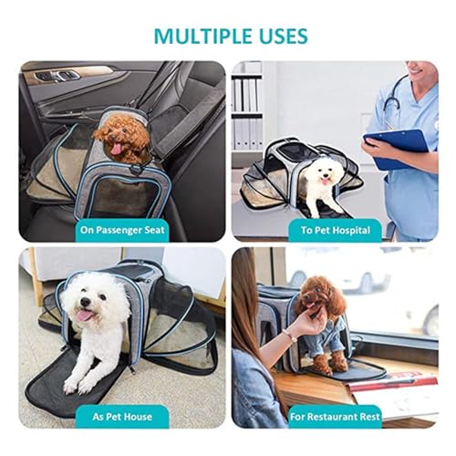 Sac de voyage pour chien idéal en train et voiture avec extensions souples