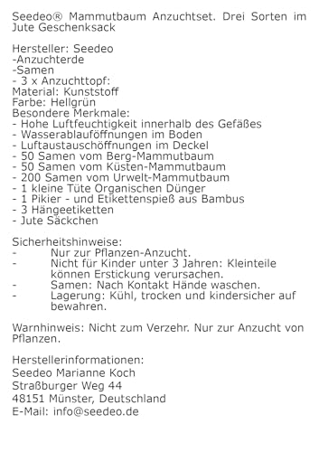 Seedeo® Mammutbaum Anzuchtset. Drei Sorten im Jute Geschenksack Bonsai geeignet.