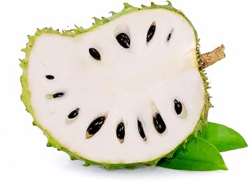 Soursop Fruit Tree Seeds for Planting 5 Seeds - Non-GMO Annona Muricata Perfect for Bonsai, Patio, Indoor or Outdoor Growing Grow Your Own Tropical Fruit Tree