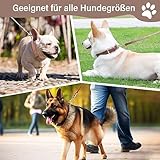 Furry Friends Hundehalsband Leder mit Leine, Gepolstert lederhalsband und Leine Set, Robust, Hundehalsband für den mittleren und kleinen Hund(M- 35-45cm, Braun)