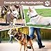 Furry Friends Hundehalsband Leder mit Leine, Gepolstert lederhalsband und Leine Set, Robust, Hundehalsband für den mittleren und kleinen Hund(M- 35-45cm, Braun)