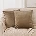 Deconovo Lot de 2 Housses de Coussin Canapé Extérieur Decoration Coussin de Lit en Velours Decoration pour Chambre 50x50cm Taupe Decoratif Taie d'oreiller