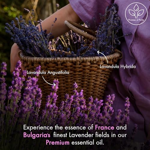 Image of Majestic Pure Essential Oil with Glass Dropper - Essential Oils for Diffuser, Aromatherapy, Soap and Candle Making, Lavender Essential Oil, Lavender Oil, 4 Fl Oz (Pack of 4)