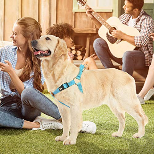 PUPTECK No Pull Dog Harness Soft Adjustable Basic Nylon Step in Puppy Vest Outdoor Walking with ID Tag - Image 7