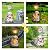 Afirst Solar Garden Statues, Dog Statues Outdoor Resin Figurine with Solar Lights Statue Decorations for Lawn, Patio, Balcony, Yard Ornament Mother's Day Gifts, Dalmatian and Cat, Dog&Cat