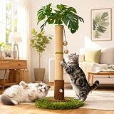 Woochpet Cat Scratching Post for Indoor Cats and Kitten - 35.43' Tall Cat Scratching Post with Sisal Rope,Palm Tree Cat Scratch Post with Hanging Ball