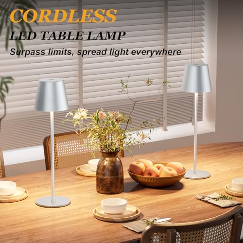 Image of Kakanuo Cordless Table Lamp Rechargeable - Silver Grey 2 Pack 5000mAH Battery Operated Lamp for Counter, 3 Color Stepless Dimming Wireless Lamp for Dining Kitchen, Outdoor Patio, Touch Control