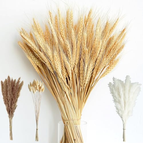 180PCS Dried Wheat Bundle with Pampas Grass...