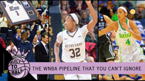 Page de couverture de BIG EAST stars in the WNBA playoffs
