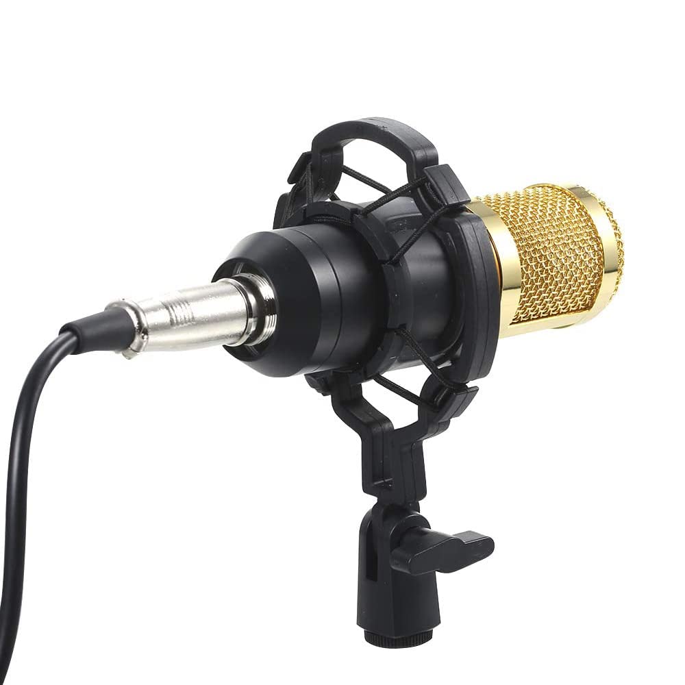 Kondensatormikrofon-Kit BM-800 Mikrofon-Set mit verstellbarem Mikrofon-Aufhängung, Scherenarm, Metallstoßhalterung und doppellagigem Pop-Filter für Studioaufnahmen, Rundfunk (Schwarz + Silber)