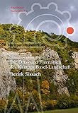 sissacherfluh  Die Orts- und Flurnamen des Kantons Basel-Landschaft: Bezirk Sissach (Baselbieter Namenbuch, Band 6)