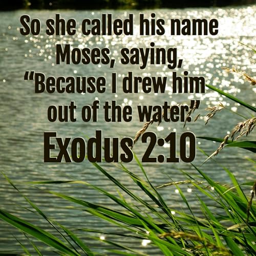 Exodus 2:1-25 | God Moves in a Mysterious Way