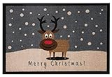 Hanse Home Printy Fußmatte für Innen und Außen 40x60cm - Schmutzfangmatte Türmatte Merry Christmas Reindeer Waschbar & Wetterfest, rutschfest für Eingangsbereich & Außenbereich – Grau Braun