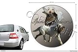 Photo Gallery adesivo cane circolare 15 cm spinone italiano Photo Gallery adesivo cane circolare 15 cm spinone italiano