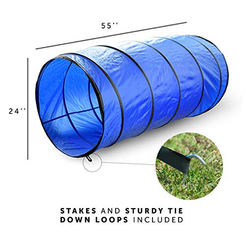 Better Sporting Dogs Complete Starter Agility Set for Dogs | 5 Piece Dog Agility Kit | Dog Tunnel | Agility Jump | Tire Jump | Weave Poles | Pause Box