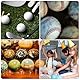 15 Stück Ballständer Acryl Ballhalter Klar Ring Kugel Kugel Stand Rund Kunststoff Baseball Ring Ständer Ballständer für die Darstellung von Basketball Fußball und Volleyball