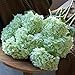 DUYONE 3PCS 22 inch Lifelike Artificial Hydrangea Large Flowers Artificial Flowers Dry Flowers Outdoor Wedding Christmas Office Family Party Living Room Table Decoration (Light Green)