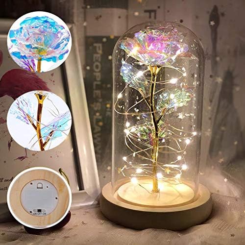 Irona Beauty and the Beast Rose in Glass Dome With LED Lights Everlasting Crystal Rose Flowers Gift Enchanted Forever Rose Birthday Gift for Anniversary Valentines Mother's Day Wedding Girlfriend