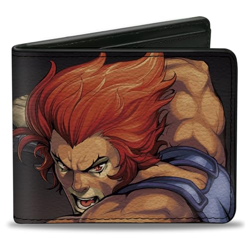 ThunderCats Wallet, Bifold, Thundercats Lion O Sword Of Omens Title Logo Pose Black, Vegan Leather