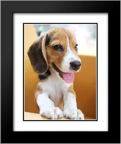 Vista 49 de ArtDirect Marco de madera negro moderno enmarcado personalizado de 12 x 14 pulgadas con tu foto o arte. Sube cualquier imagen y la imprimiremos