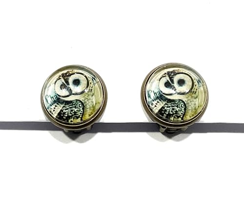 Owl Clip On Earrings, Owl Earrings, Non pierced ear Clip on Earrings Earrings, Green Hoot Clips Earrings, Clips Earrings