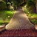 Llama Solar Luces - Luces Solares LED Luces solares Jardín Lámpara LED...
