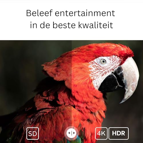 Streaming Box GD-2 met Google TV, 4K HDR & LAN-aansluiting - Smart TV mediaspeler voor vloeiende streaming - Afbeelding 5