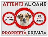  NEW CARTELLO SEGNALETICO - ATTENTI al Cane Jack Russel PROPRIETà PRIVATA - Adesivo Extra Resistente, Pannello in Forex, Pannello In Alluminio (ADESIVO 30X42 CM)