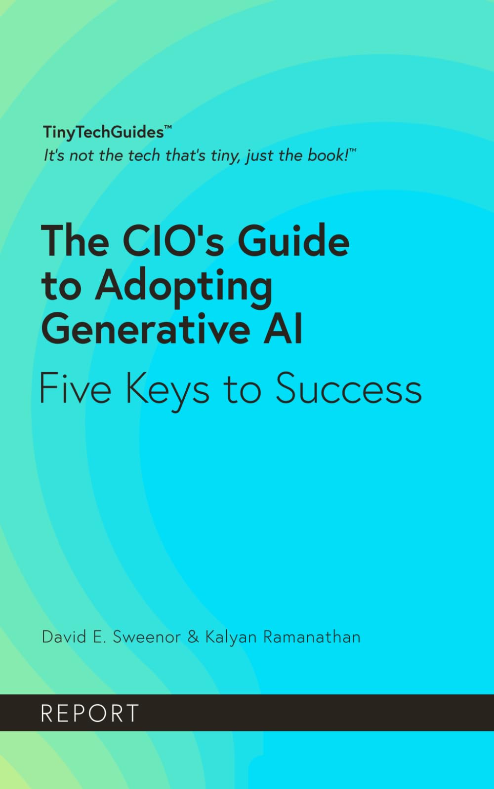 The CIO's Guide to Adopting Generative AI: Five Keys to Success