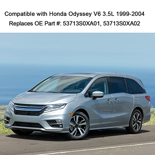 Wmphe Compatible With Power Steering Pressure Hose Assembly Honda Odyssey V6 3.5L 1999 2000 2001 2002 2003 2004, Replace Oem 53713S0Xa01 53713S0Xa02 3401212 #TOP5