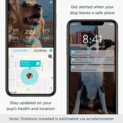 FitBark GPS Dog Tracker | Health & Location Pet Tracking Smart Collar Device | Small (17 g) & Waterproof | 4G LTE-M Real-Time US Verizon Coverage Nationwide | iPhone & Android Apps