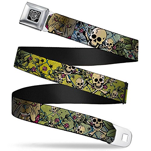 Cinturón de seguridad Buckle-Down con hebilla metálica resistente y patrón de colores vibrantes