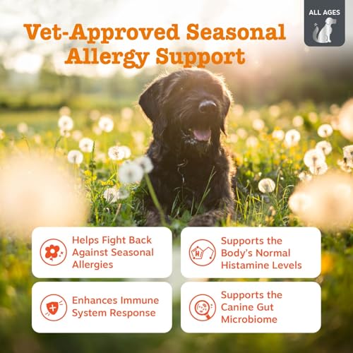 Image of Zesty Paws Vet Strength Allergy Immune Bites - Dog Allergy Chews, Dog Probiotics for Itchy Skin and Ears, Smoked Cheese, 90ct (Pack of 2)