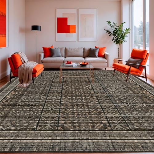 ODIKA Flatwoven High Traffic Area Rug 8x10, Chic Geometric Patterned
