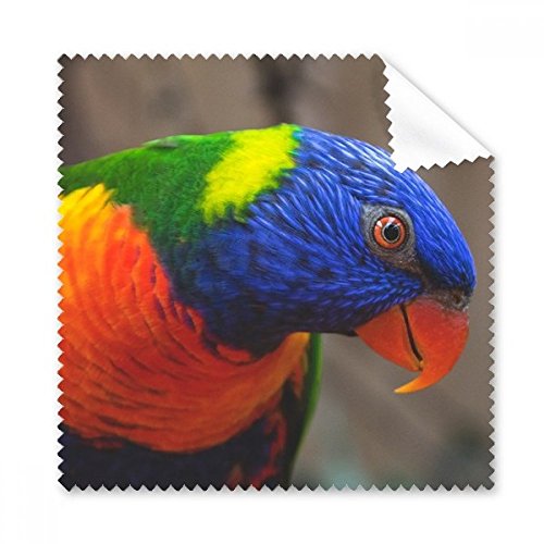 Pcture Terrestrial Organism����Parrot Glasses�z�N���[�j���O�N���X�d�b��ʃN���[�i�[5�_�M�t�g