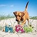 Minifeet Hundespielzeug Gespenst - Das schaurig-schöne Geschenk für große und kleine Hunde