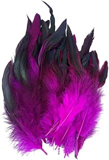 BEALIFE 50 Plumas Naturales para Manualidades, Colores Vibrantes y fáciles de Trabajar con Plumas de Gallo Naturales de Fibra, Plumas Coloridas