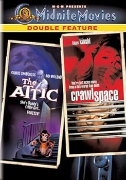 The Attic/Crawlspace