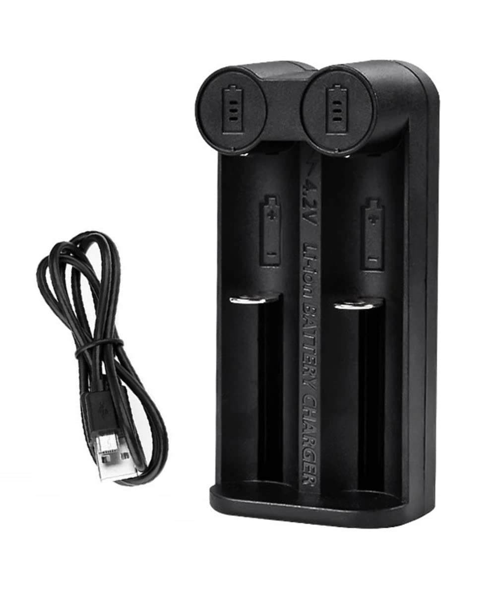 amiciSmart Intelligent Battery Charger, Dual Slot Charger for 21700 20700 26650 18650 18490 16340 14500 10400 Rechargeable Batteries (B0BBB7S3R8) Amazon Price History, Amazon Price Tracker